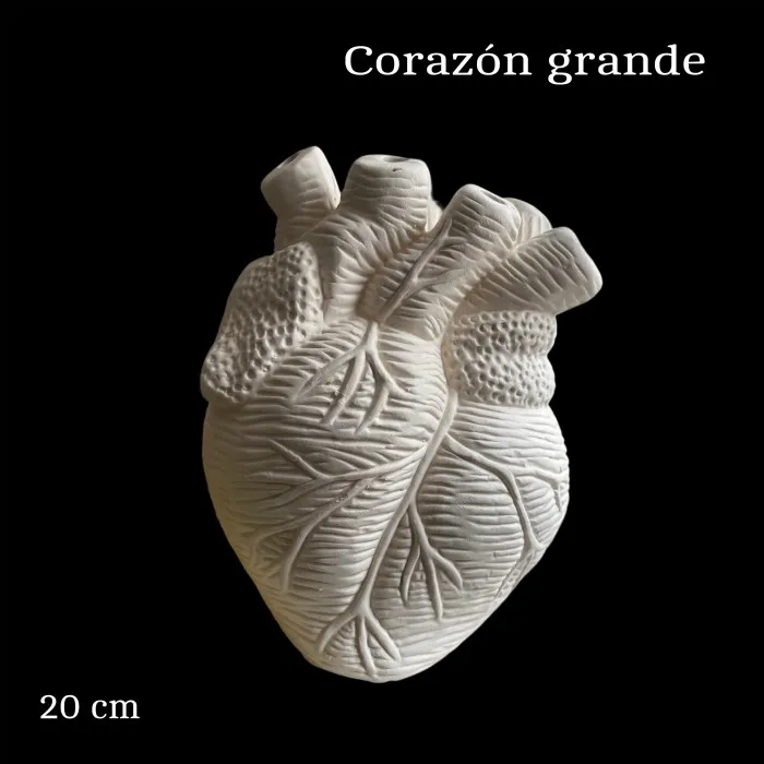 F10DB35D-F70C-4A21-B39E-147B5C4D1257_resultado