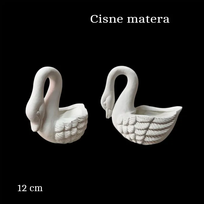 cisne matera_resultado